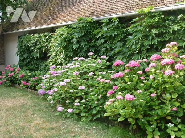 Maison charme 8 pp, 220m2,  village avec commerces et écoles,