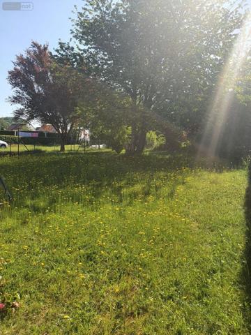 Maison à vendre à Beauchamps dans la Somme (80770), ref : 20210564   
Beauchamps