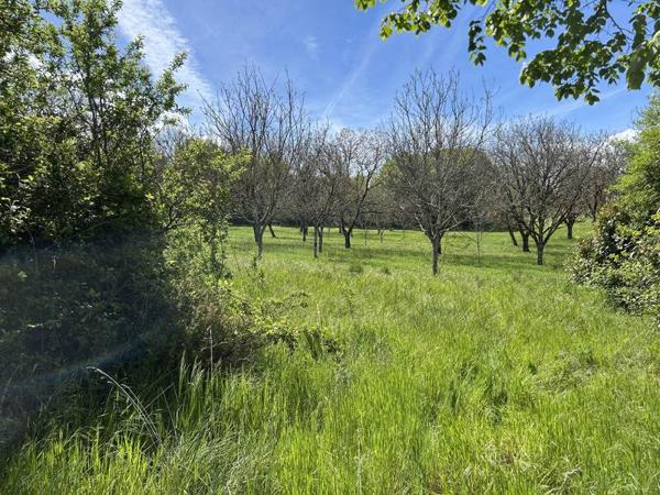 Maison à vendre |  Meyssac |  2 pièces | 48 m²