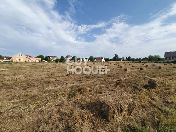 Terrain Charbuy environ 7 000 m²