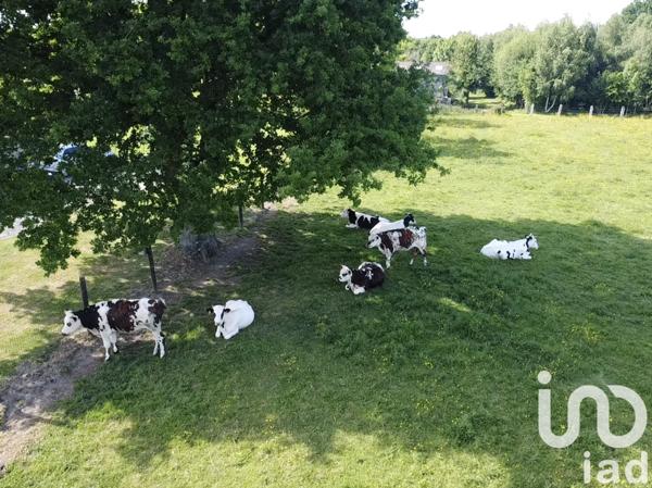 Maison à vendre 8 pièces 250 m² Lisieux