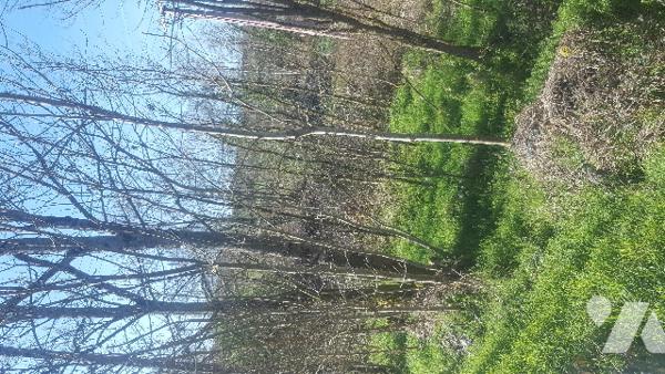 TERRAIN A BATIR SUPPORTANT UNE ANCIENNE CONSTRUCTION
SEULE CETTE DERNIERE PEUT ETRE RECONSTRUITE