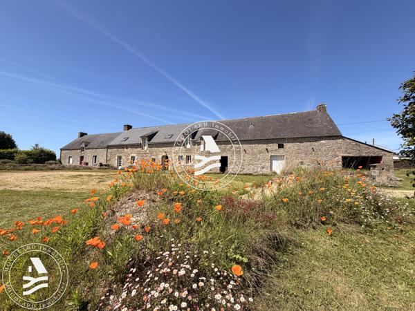BELLE LONGERE - Charme, espace & calme absolu