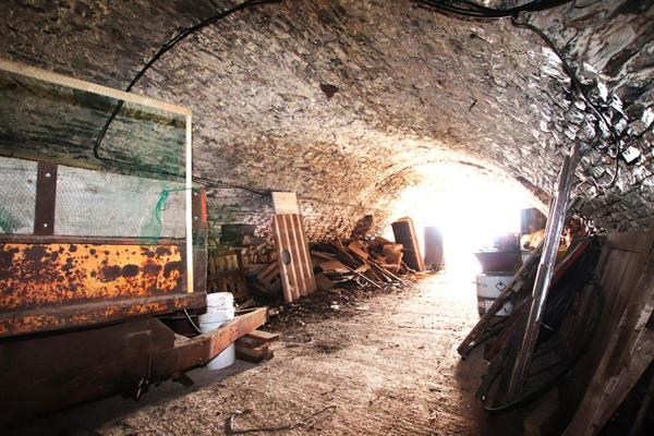 Corps de ferme de 540 m2 + annexes, sur 3700 m2