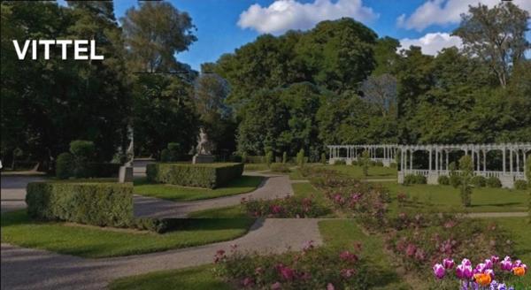 LOCAL 256 m2 à vendre VITTEL (88) Idéal RESTAURANT ou MAGASIN Quartier THERMAL