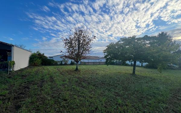 Terrain à vendre    Meschers-sur-Gironde