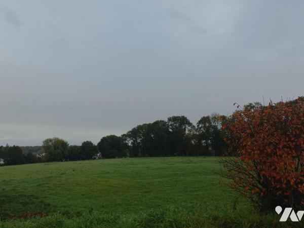 Terrain constructible