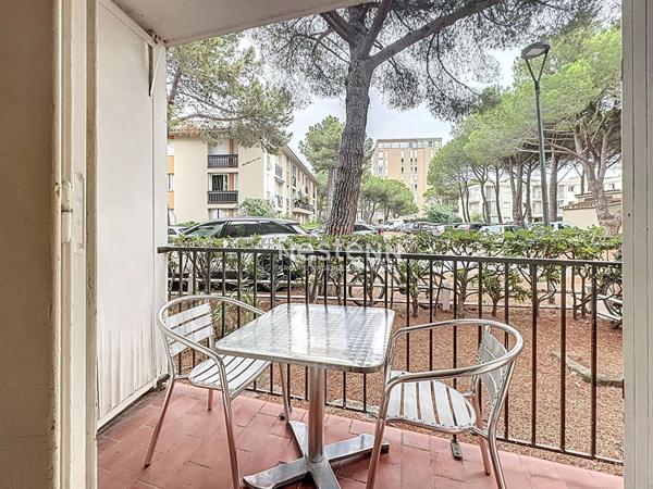 Appartement Argeles Sur Mer 2 pièce(s) 50m de la plage