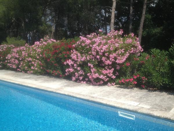 Mas du XVIIIe, un joyaux au coeur du Luberon.