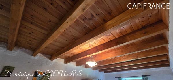 Ardèche, à 5 mn en voiture de St Pierreville au coeur du parc national des Monts d'Ardèche, spacieuse maison de 178m² avec une grande dépendance de 200m² sur 2 niveaux à aménager