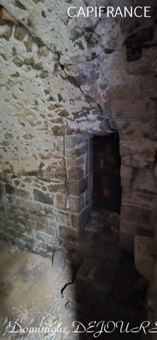 Ardèche, à 5 mn en voiture de St Pierreville au coeur du parc national des Monts d'Ardèche, spacieuse maison de 178m² avec une grande dépendance de 200m² sur 2 niveaux à aménager