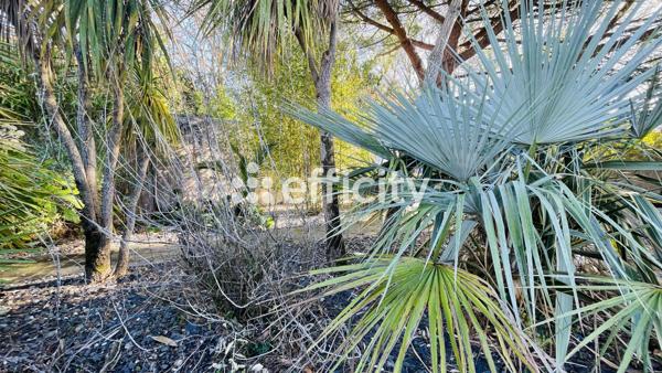 Maison 8 pièces - 200 m² Bien prestige