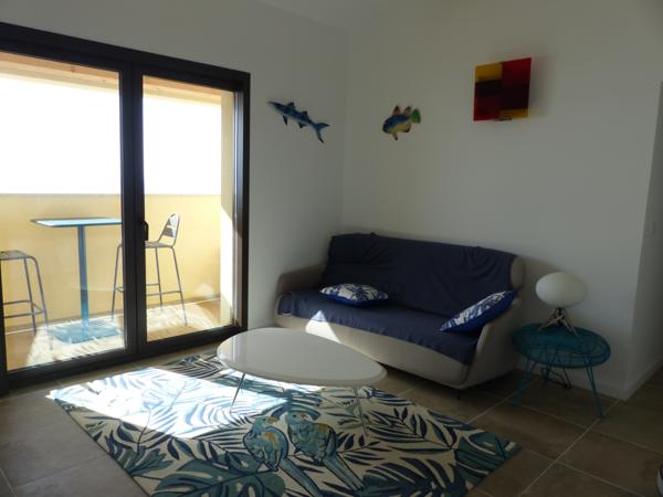 Sanguinaires magnifique appartement T8 duplex de 190m² avec vue imprenable sur la mer Ajaccio (20000)