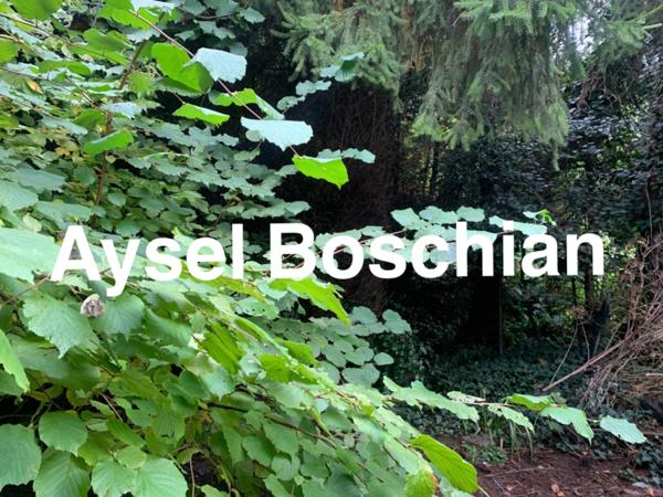 Maison bourgeoise à vendre 8 pièces THIONVILLE (57)