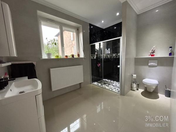 maison 170m²-3/4ch., garage, jardin à Lunéville Lunéville (54300)