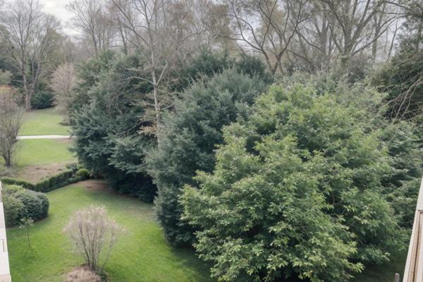 Appartement Torcy 5 pièce(s) 104 m2