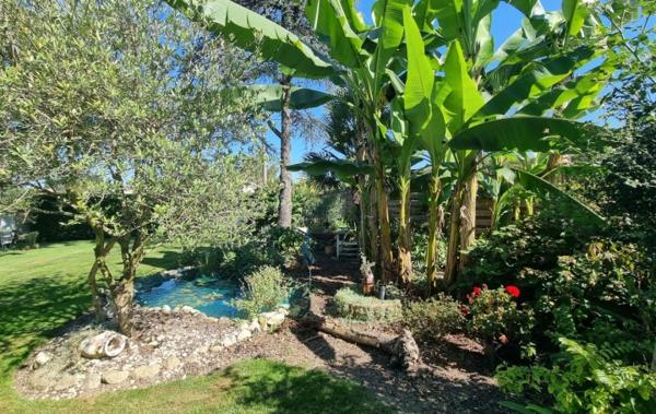 Vente Maison Montastruc-la-conseillere   