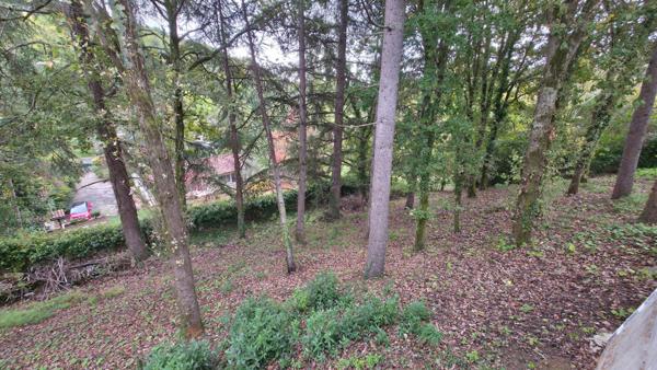 Maison rénovée avec terrain arboré