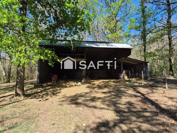 Maison de campagne en Forêt +Terrain 1,5ha +Hangar