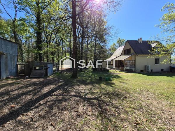 Maison de campagne en Forêt +Terrain 1,5ha +Hangar