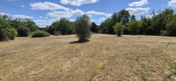 Maison de village rénovée avec piscine et plus d'un hectare de terrain