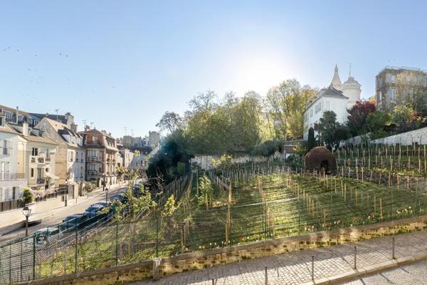 Appartement Paris 18e - VIGNES DE MONTMARTRE