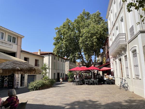 Appartement à vendre à Argelès-sur-Mer (66700) - Pyrénées-Orientales