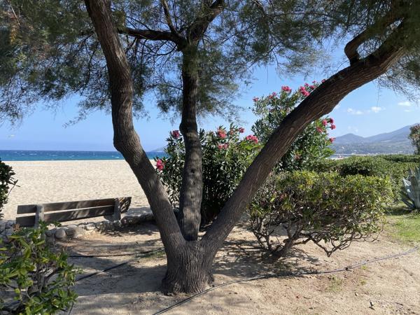 Appartement à vendre à Argelès-sur-Mer (66700) - Pyrénées-Orientales