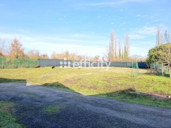 Local Commercial - 817 m²