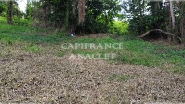 Dpt Martinique (972), à vendre LE LAMENTIN terrain de 2500 m² vue mer
