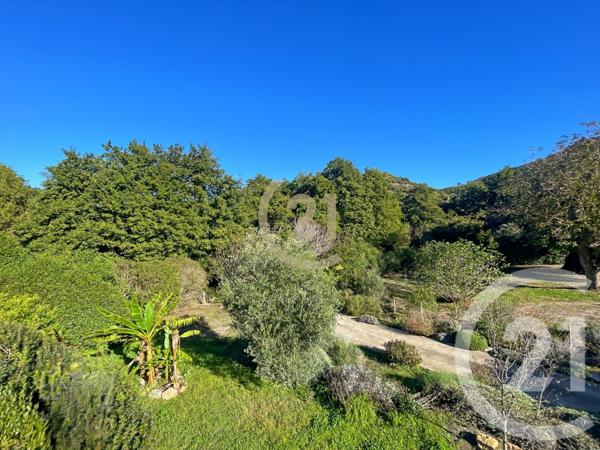 Maison à vendre  6 pièces - 205 m2 OLETTA - 202