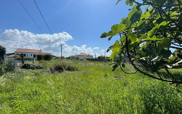 Terrain à vendre    Port-des-Barques