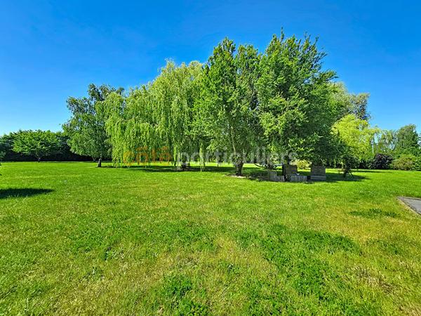 Vente
                Maison255 m² - 7 Pièces -
                    LILLE (59000)