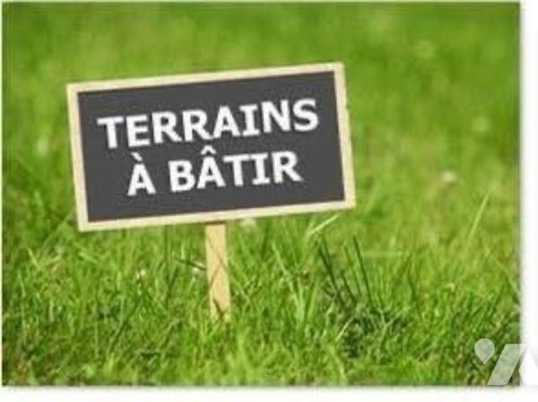Terrain constructible EMONDEVILLE (50310)