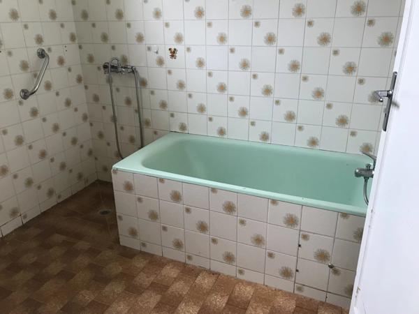 Maison vue Pyrénées à Carbonne (31390)