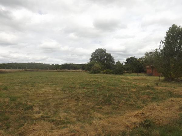 Hiesse - Maison avec 6 chambres, dependences et terrain - - oportunity chambres d'hotes Hiesse