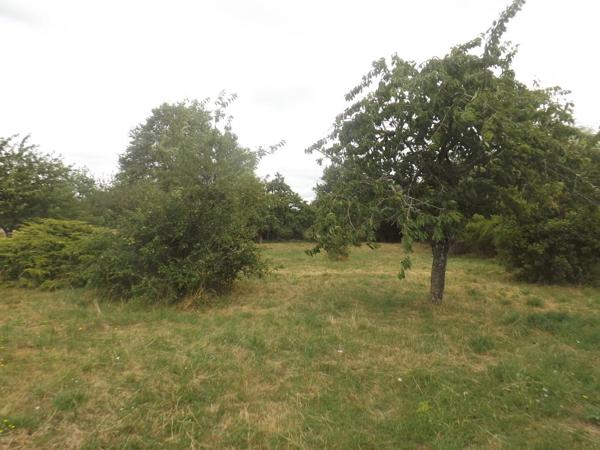 Hiesse - Maison avec 6 chambres, dependences et terrain - - oportunity chambres d'hotes Hiesse