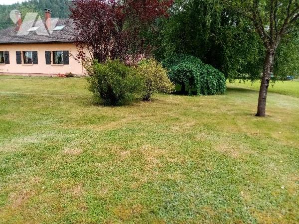 secteur Xonvillers , terrain plat environ 1200 m²