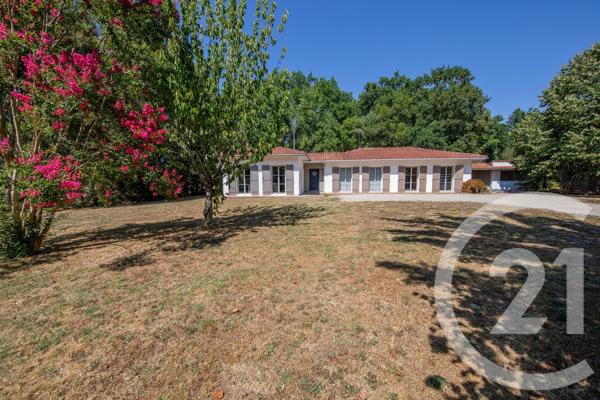 Maison à vendre  6 pièces - 165,68 m 2   ST MEDARD EN JALLES  - 33
