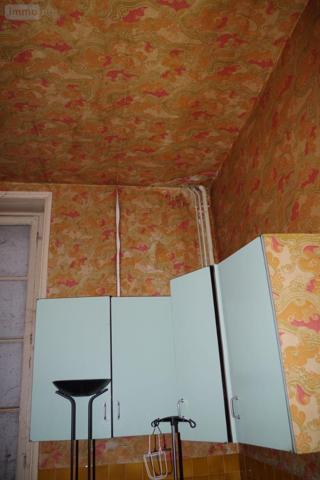 Local mixte (Pro/Hab) à vendre à Périgueux en Dordogne (24000), ref : 24001/VENT/646