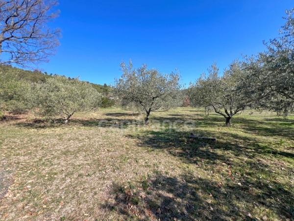 À vendre charmant Cabanon/Mazet provençal avec oliveraie sur 4000m2 de terre – proche de Manosque et Pierrevert