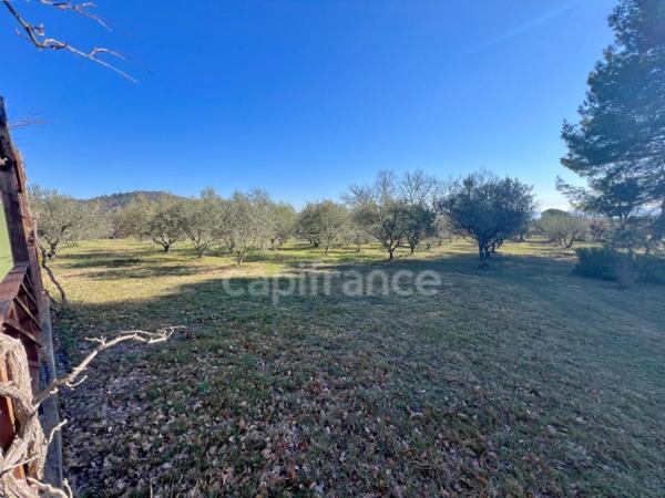 À vendre charmant Cabanon/Mazet provençal avec oliveraie sur 4000m2 de terre – proche de Manosque et Pierrevert
