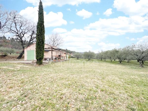 À vendre charmant Cabanon/Mazet provençal avec oliveraie sur 4000m2 de terre – proche de Manosque et Pierrevert