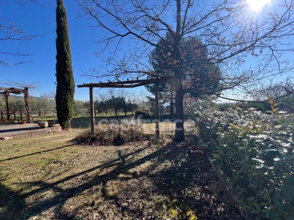 À vendre charmant Cabanon/Mazet provençal avec oliveraie sur 4000m2 de terre – proche de Manosque et Pierrevert