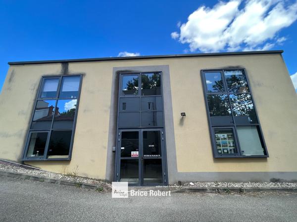 Bureaux à vendre 450 m² climatisés Champagne Au Mont d'Or accès routier
