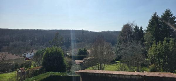 Maison à vendre 7 pièces LE PALAIS SUR VIENNE (87)