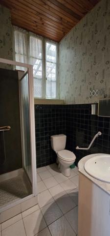 Maison à vendre 7 pièces LE PALAIS SUR VIENNE (87)