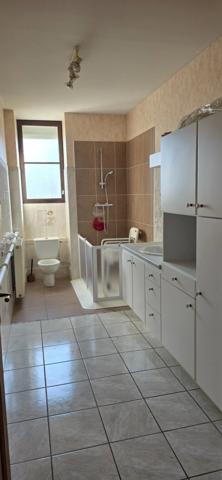 Maison à vendre 7 pièces LE PALAIS SUR VIENNE (87)