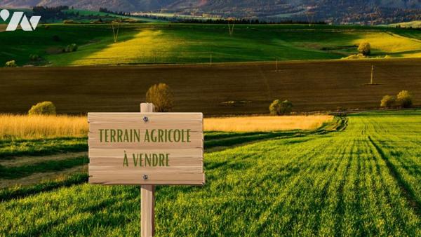 Terres agricoles