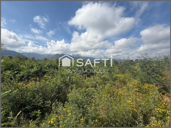 SAINT-ANDRE (66), TERRAIN AGRICOLE DE 3071 m2 A VENDRE